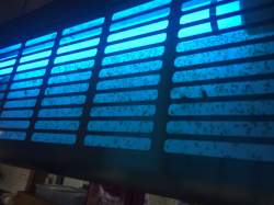 Glueboards for Insect Light Traps - Alpeco