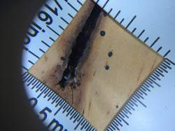 Non Toxic Pest Management - Bug Spray - Designed-2-Kill