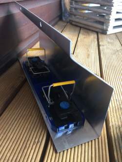 Live Mice Traps - Designed-2-Kill - Alpeco