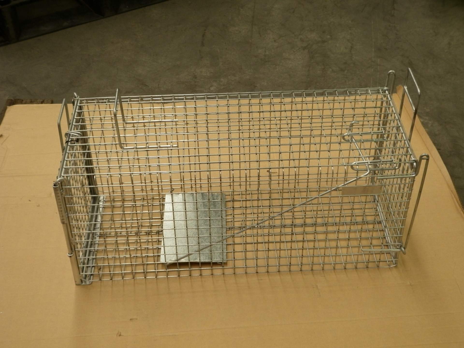Cat & Possum Cage Trap - NoPests