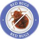 Environmental Bed Bug Removal