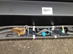 Mouste & Rat traps for rodent infestation  - Alpeco