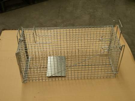 humane live multi catch wire mesh