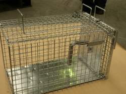 Humane Live Cat Traps Alpeco