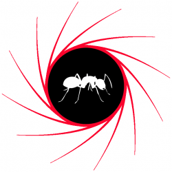 Alpeco Ants