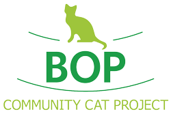 Bay of Plenty Community Cat Project