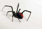 Pest Control Red Back Spider | Alpeco